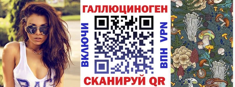 даркнет сайт  Заводоуковск  Псилоцибиновые грибы ЛСД 